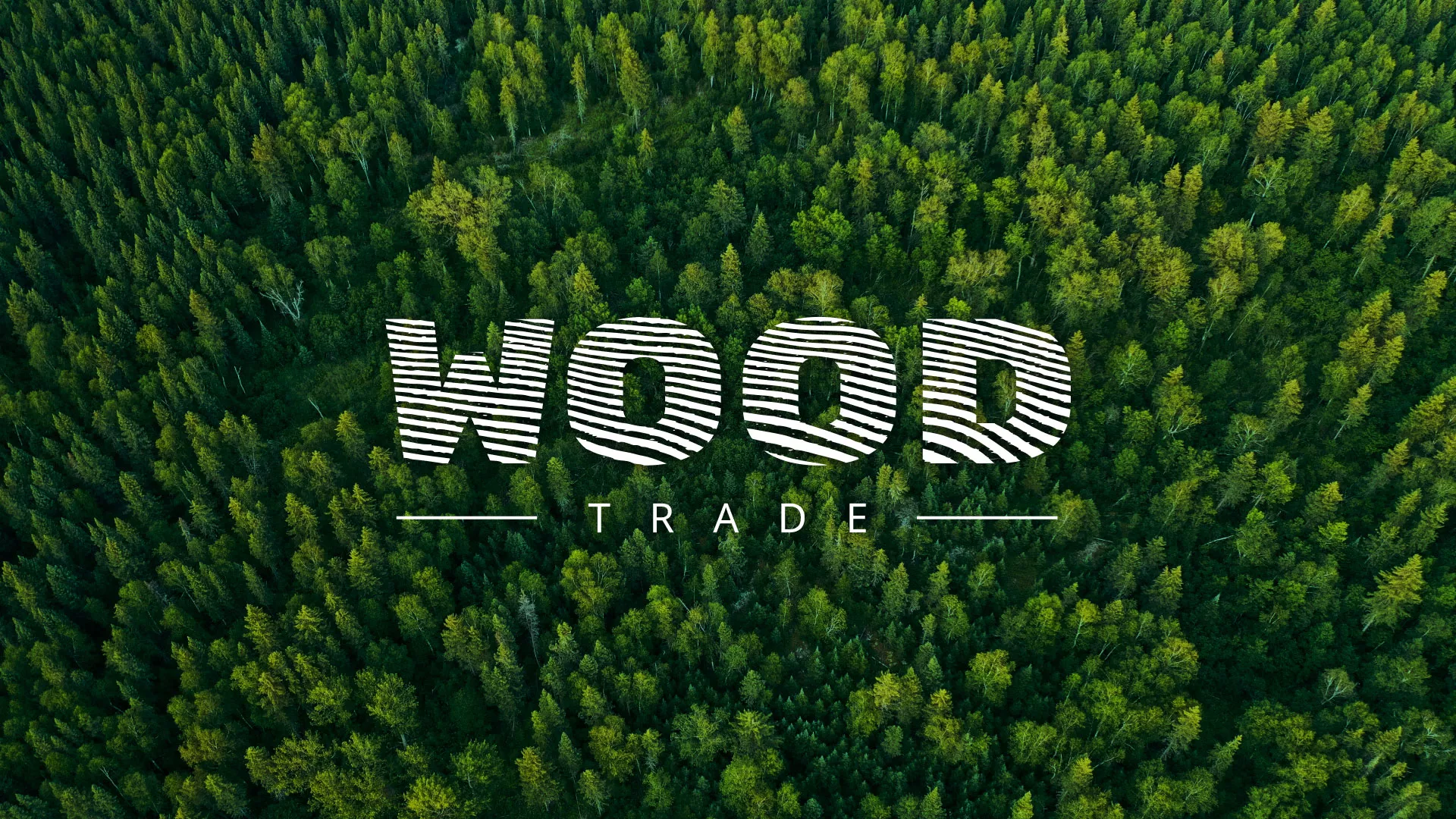Разработка интернет-магазина компании «Wood Trade» в Дрезне